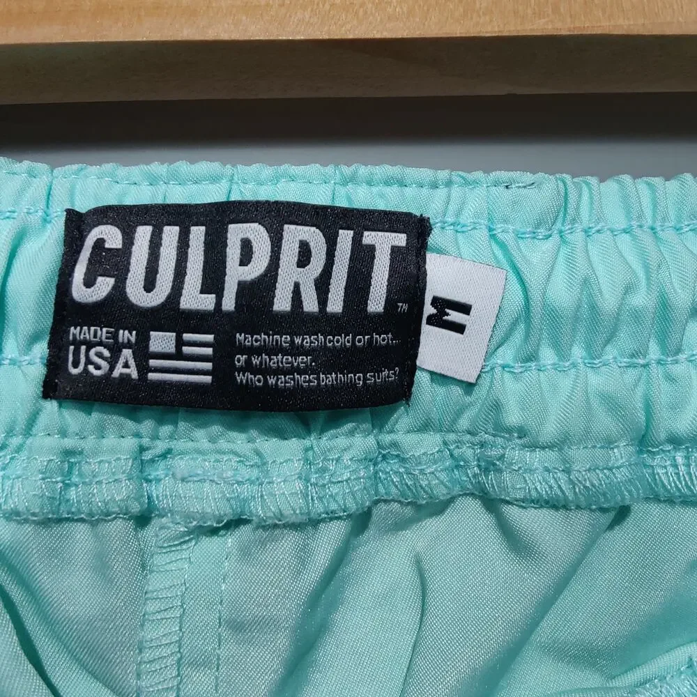 Culprit Women's Sz M BaeThing Swim Shorts Mint Julep Green Vented Side